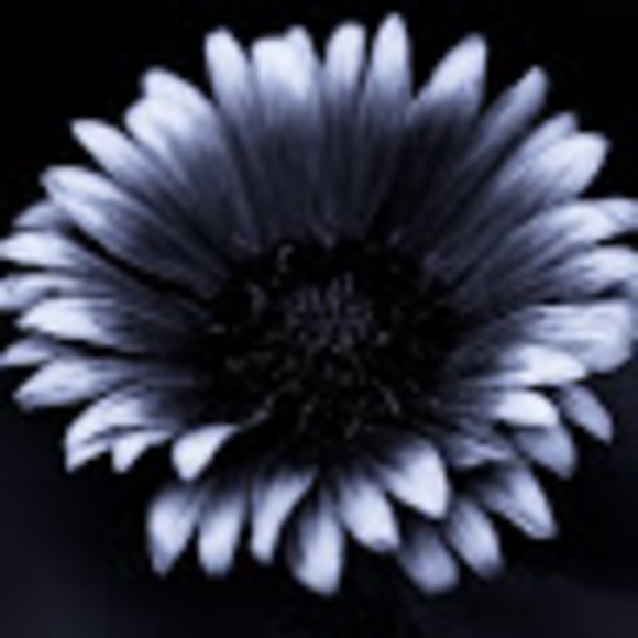 Meet your Posher, Sharice - Picture 1 of 1